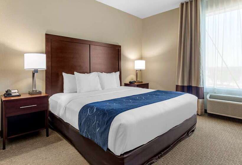 Hotel Comfort Suites Waco Near University Area