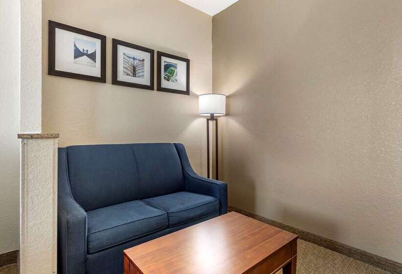 Hotel Comfort Suites Waco Near University Area