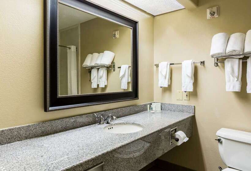 Fotos del hotel Comfort Suites Westchase Houston Energy Corridor:  42