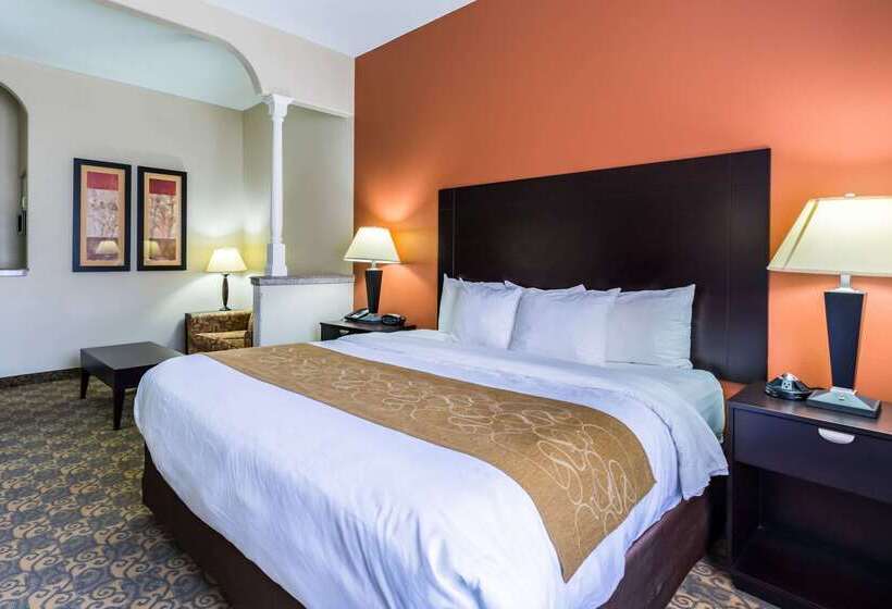 Fotos del hotel Comfort Suites Westchase Houston Energy Corridor:  13