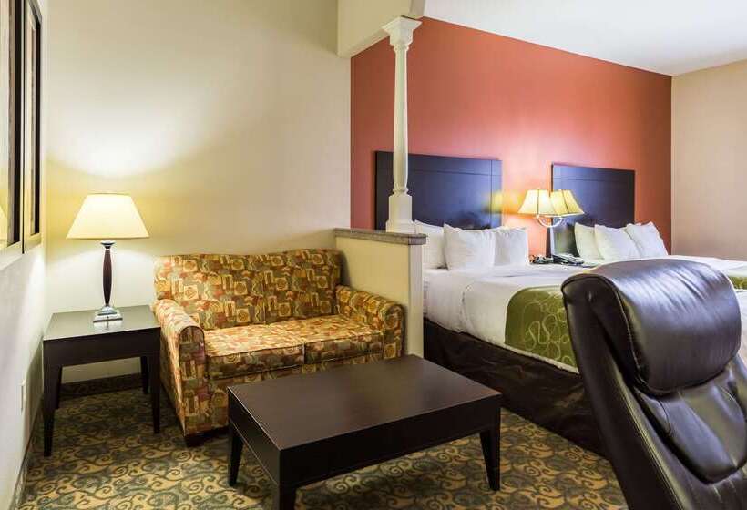 Fotos del hotel Comfort Suites Westchase Houston Energy Corridor:  14