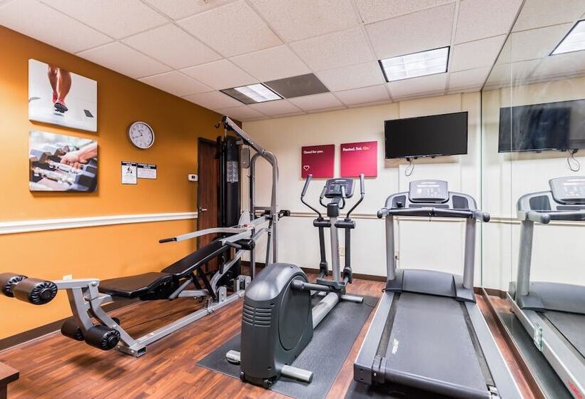 Fotos del hotel Comfort Suites Westchase Houston Energy Corridor:  73