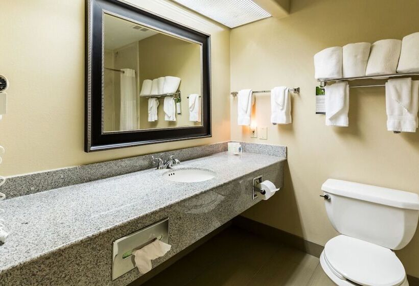 Fotos del hotel Comfort Suites Westchase Houston Energy Corridor:  38