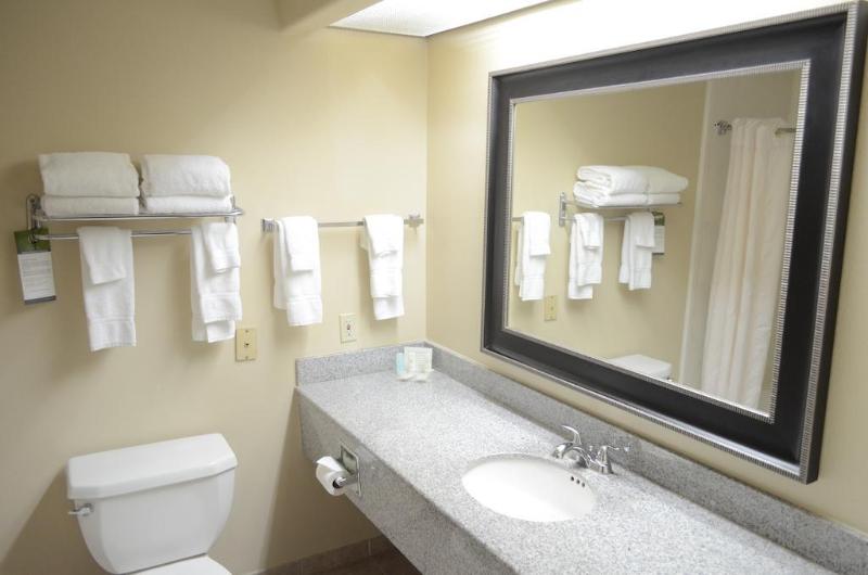 Fotos del hotel Comfort Suites Westchase Houston Energy Corridor:  40