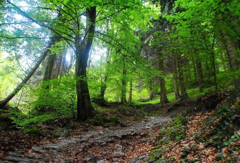 Отель Conca Verde