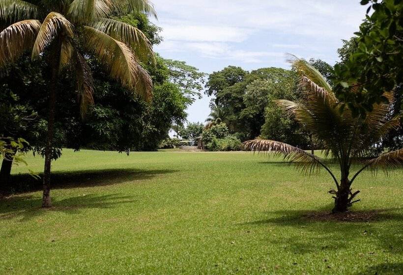 Fotos del hotel Frenchman's Cove Resort:  20
