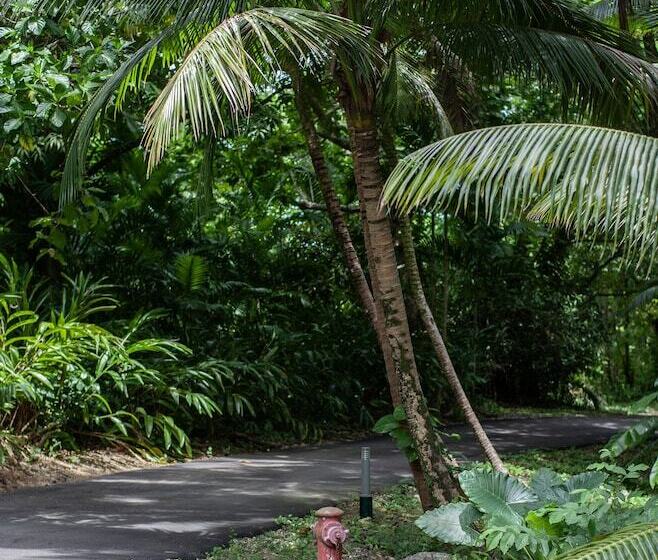Fotos del hotel Frenchman's Cove Resort:  18