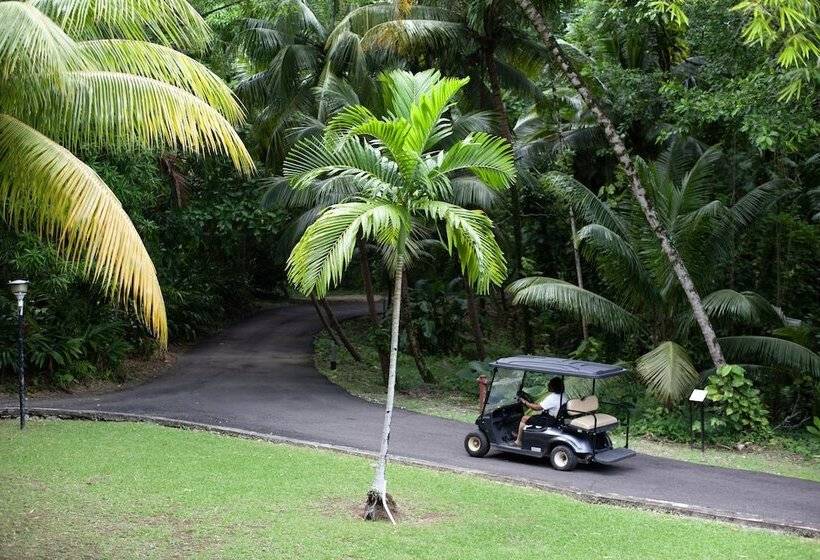 Fotos del hotel Frenchman's Cove Resort:  13