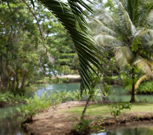 Fotos del hotel Frenchman's Cove Resort:  9