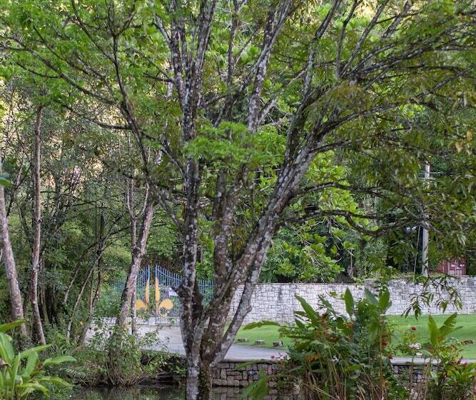 Fotos del hotel Frenchman's Cove Resort:  7