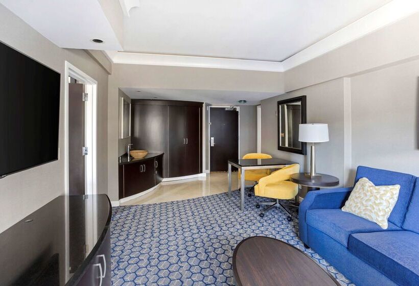 Fotos del hotel Hilton Club New York:  19