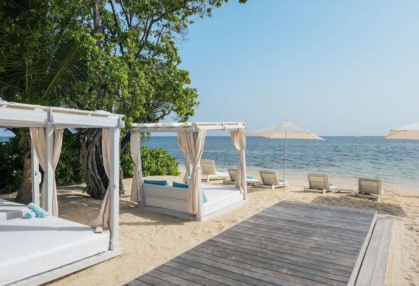 Fotos del hotel Iberostar Rose Hall Beach:  28