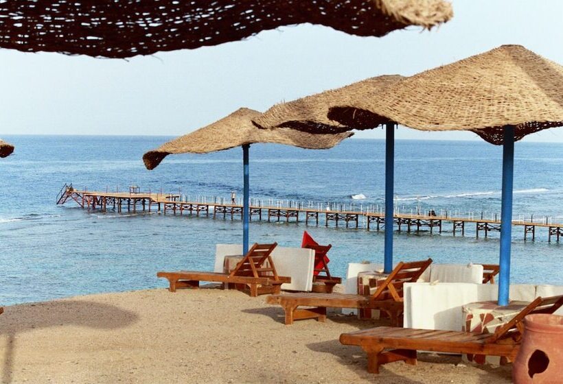 هتل Jaz Neo Reef Marsa