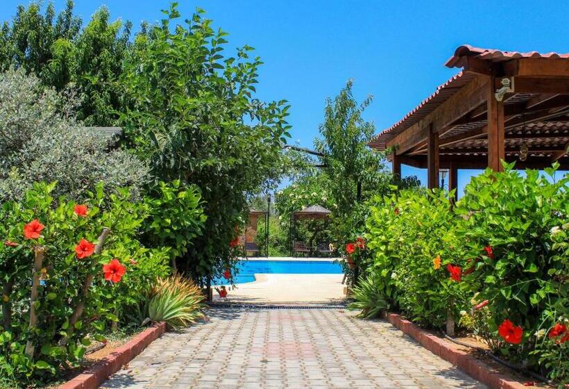 هتل Lapida Garden