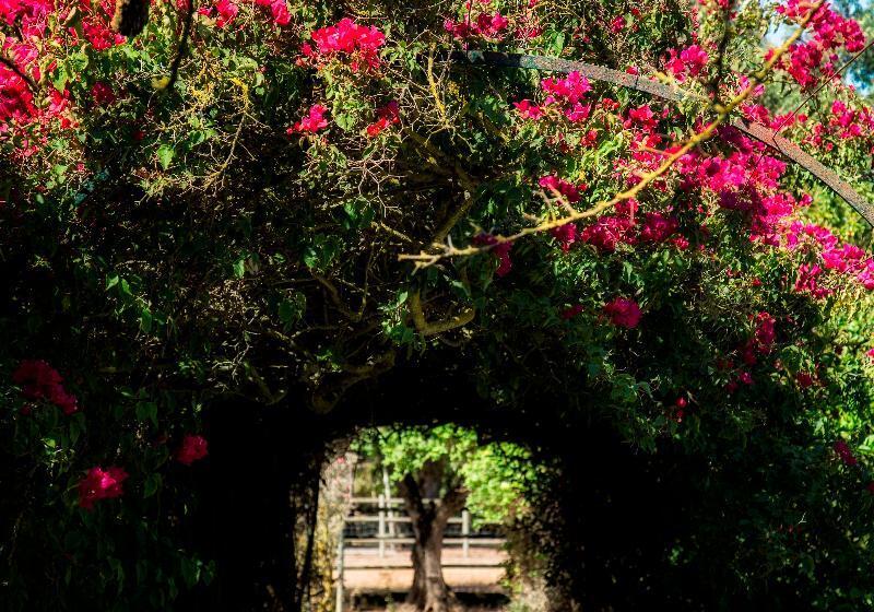 בית מלון כפרי Quinta Da Praia Das Fontes