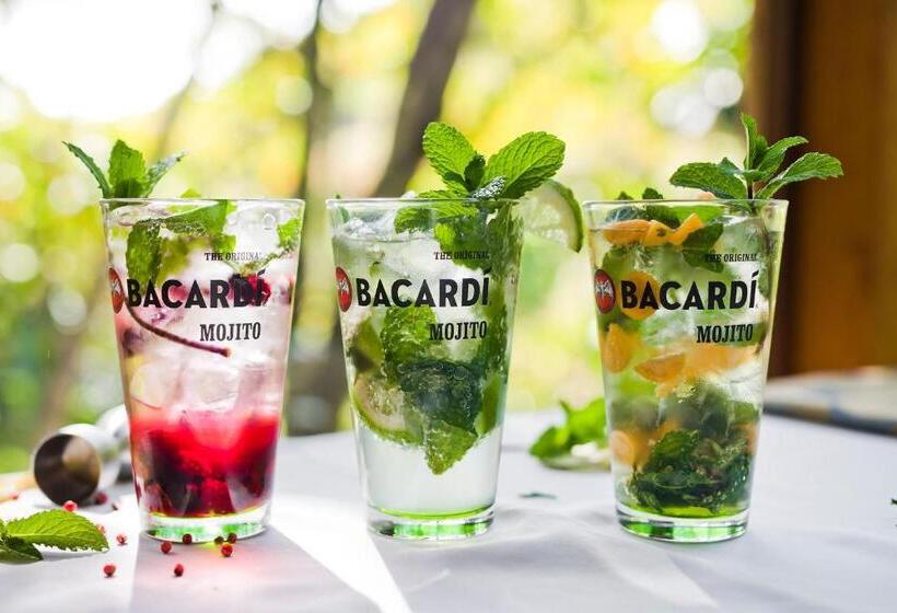 בית מלון כפרי Savegre