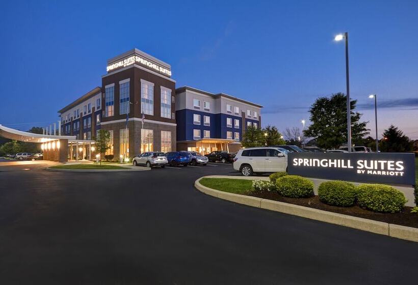 هتل Springhill Suites By Marriott Indianapolis Airport/plainfield