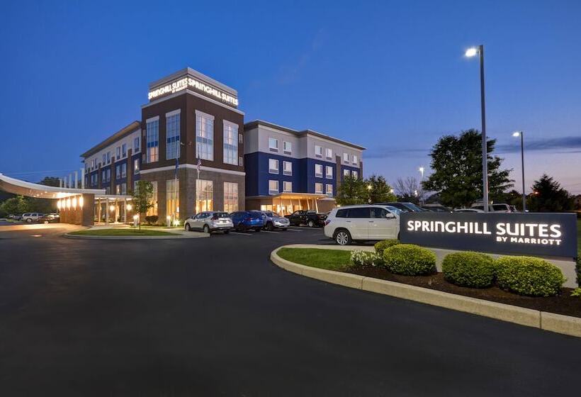 Hotel Springhill Suites By Marriott Indianapolis Airport/plainfield