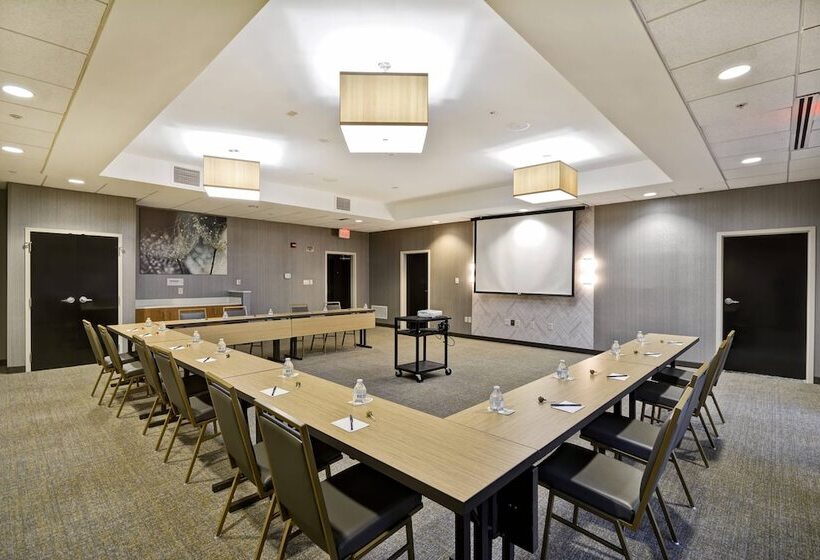 Hotel Springhill Suites By Marriott Indianapolis Airport/plainfield