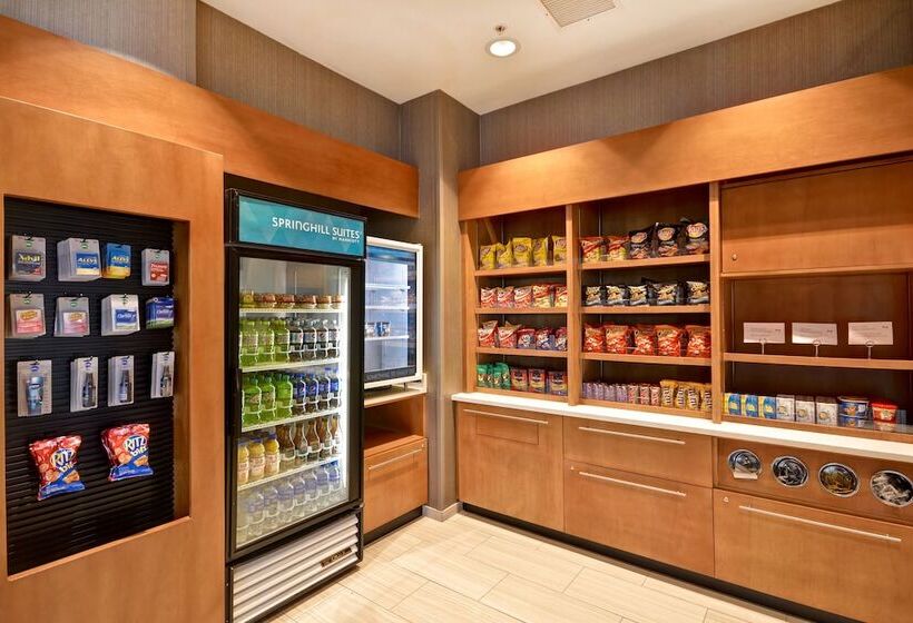 هتل Springhill Suites By Marriott Indianapolis Airport/plainfield