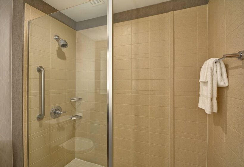 Hotel Springhill Suites By Marriott Indianapolis Airport/plainfield