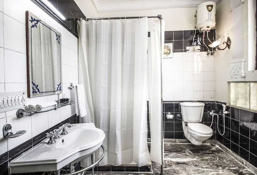 Fotos del hotel Sugan Niwas Palace:  12