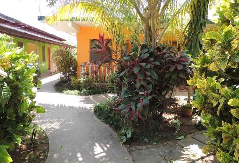 Fotos del hotel Sunrise Club:  12