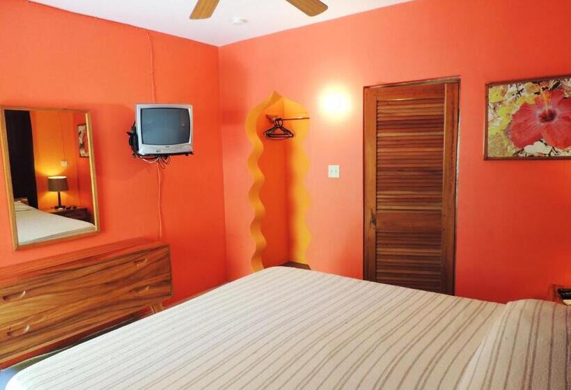 Fotos del hotel Sunrise Club:  3