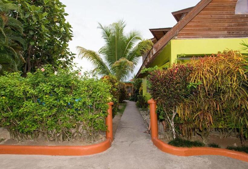 Fotos del hotel Sunrise Club:  29