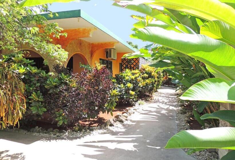 Fotos del hotel Sunrise Club:  18