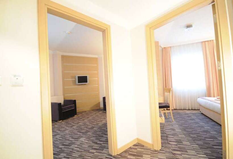 Fotos del hotel Sv Bussiness  Taksim:  22