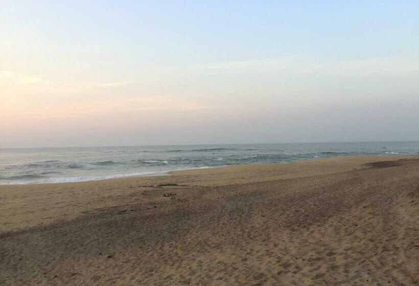 هتل The Oasis Beach Resort