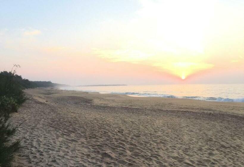 هتل The Oasis Beach Resort