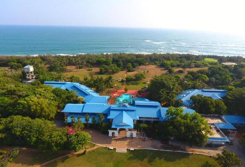 هتل The Oasis Beach Resort