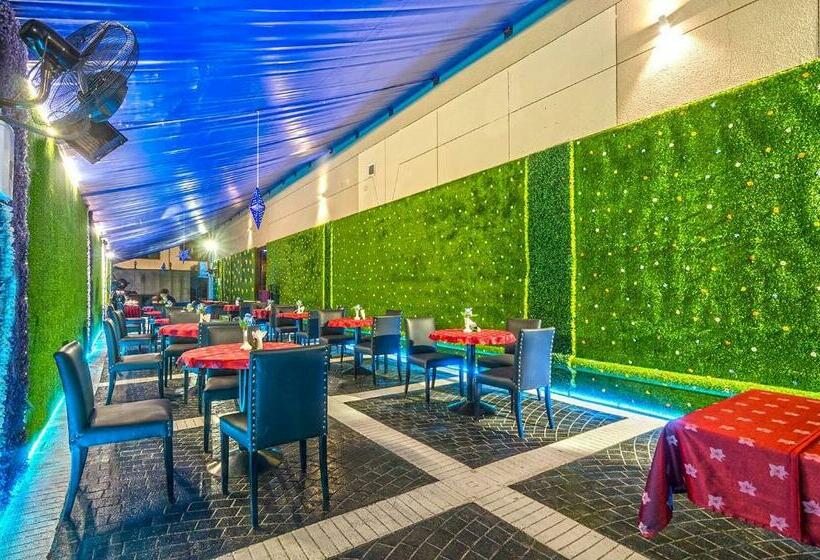 Fotos del hotel Zain International:  34