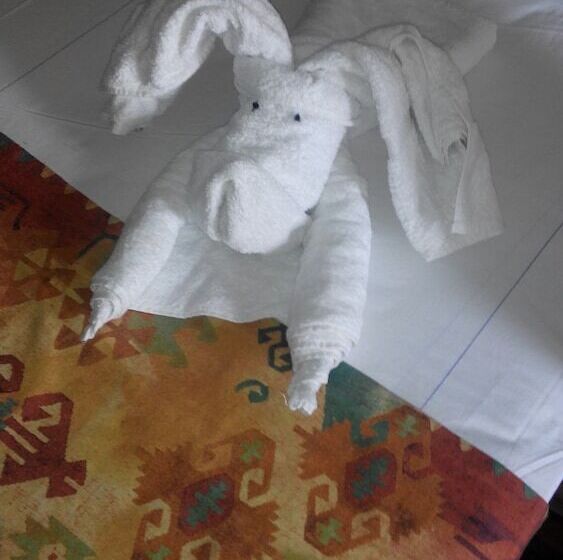 Fotos del hotel King Hotel Cairo:  24