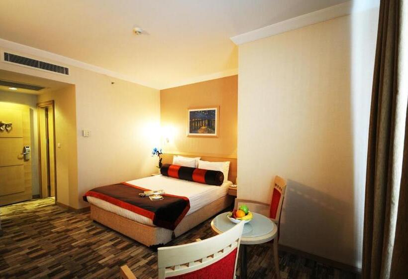 Fotos del hotel Sv Bussiness  Taksim:  9