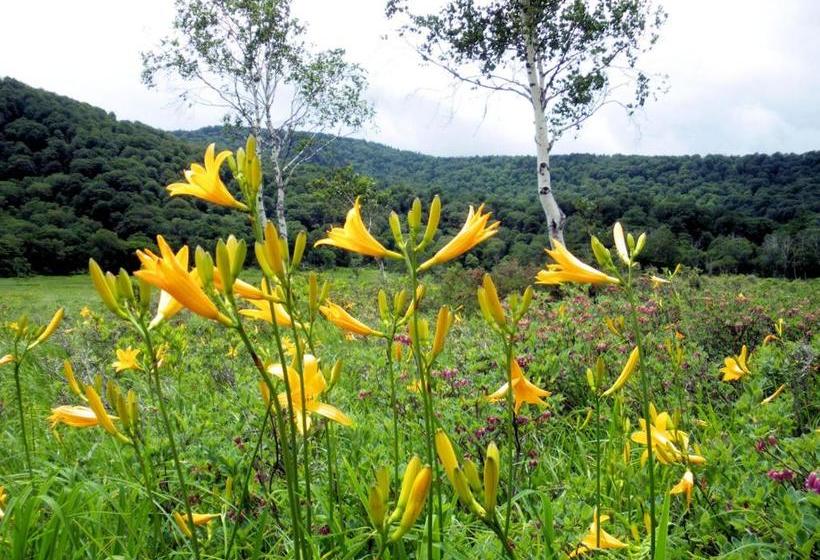 فندق صغير Pension Green Field