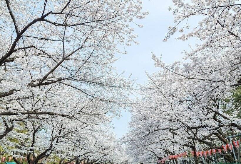 Fotos del hotel Apa  Ueno Hirokoji:  12