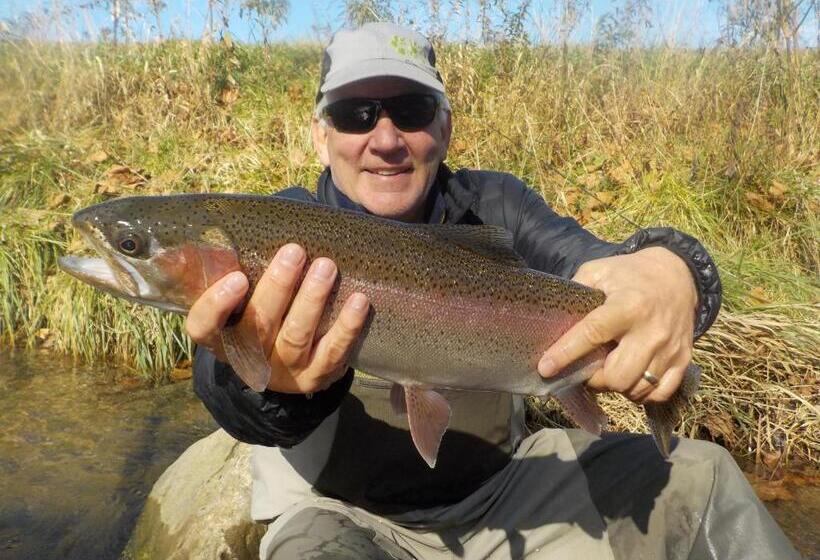 A B&b At Llewellyn Lodge