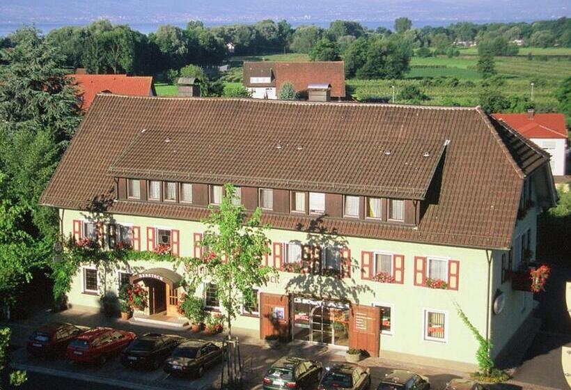 فندق صغير Gasthaus Zum Rebstock