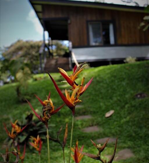 ベッドアンドブレックファースト The Lodge At Reventazon River Mountain Ranch