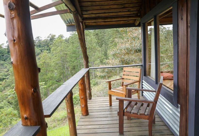 ベッドアンドブレックファースト The Lodge At Reventazon River Mountain Ranch