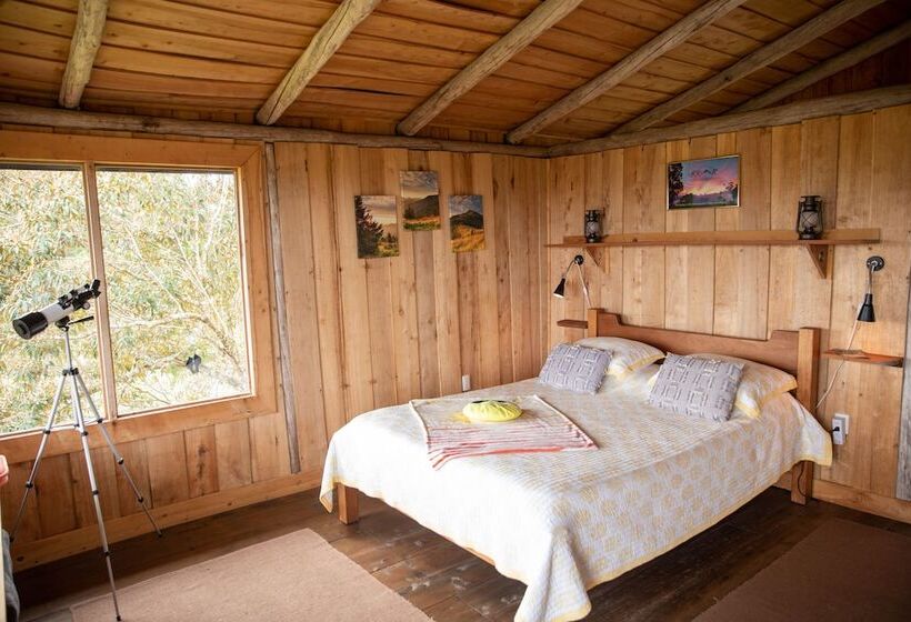 ベッドアンドブレックファースト The Lodge At Reventazon River Mountain Ranch