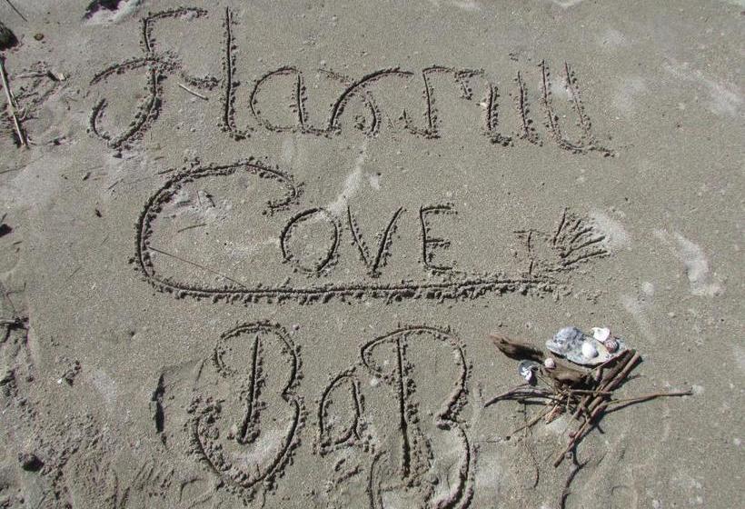 Flaxmill Cove B&b