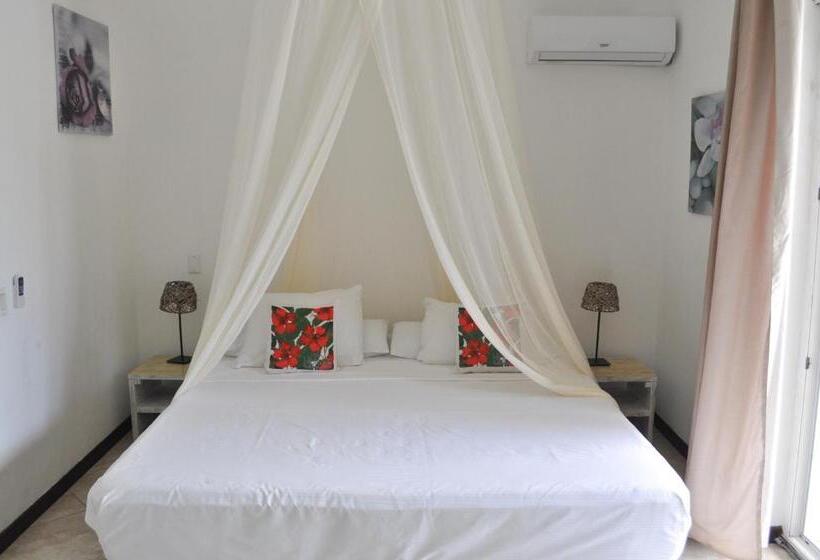 پانسیون Hibiscus Beach House