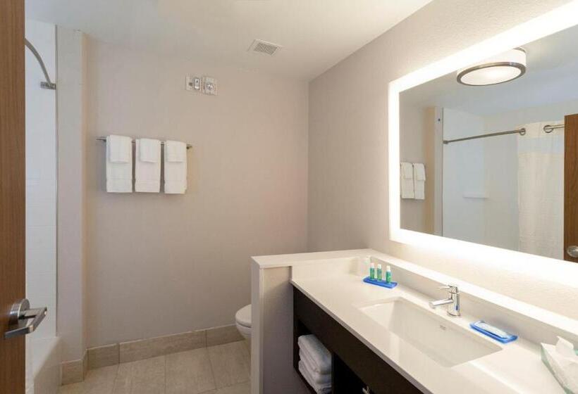 هتل Holiday Inn Express & Suites Griffin