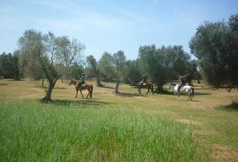 호텔 Masseria Li Campi