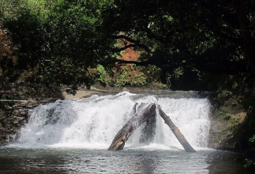 هتل Waterfall Hostel