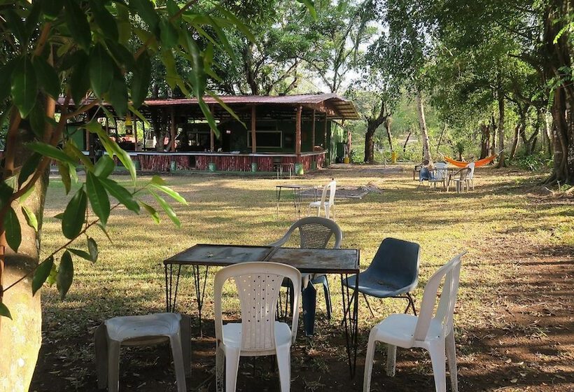 هتل Waterfall Hostel